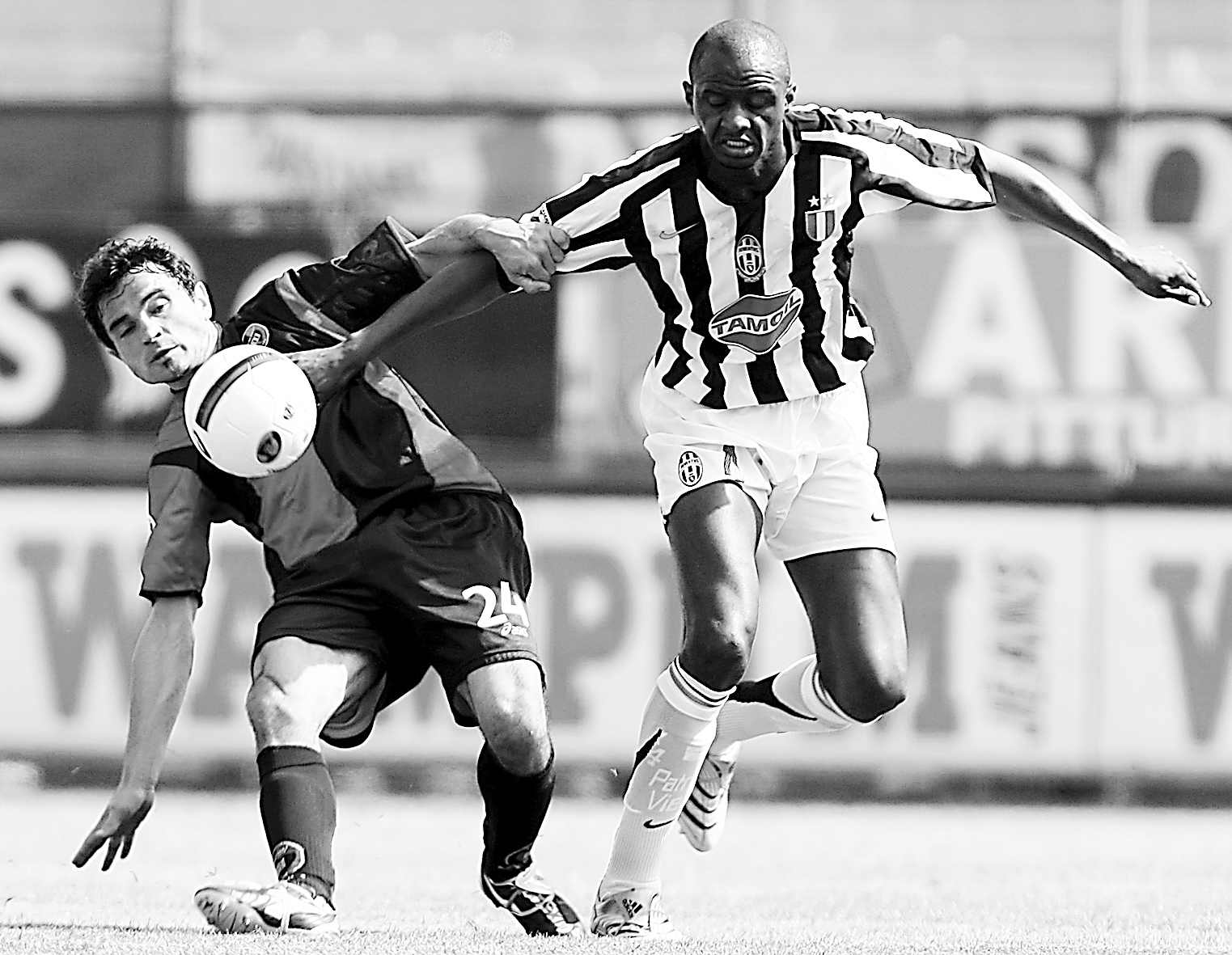 广泛的应用领域