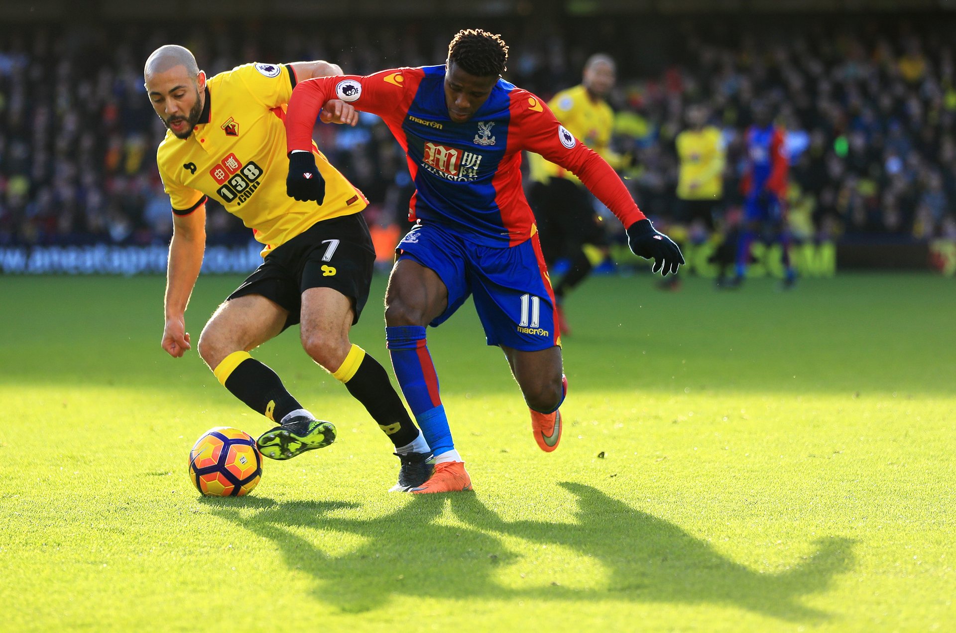 仅警示了脑 仅警示了脑